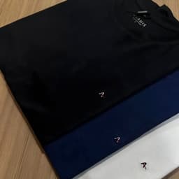 Aramis Camisetas Básicas Masculinas