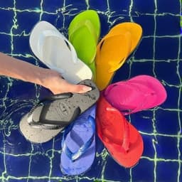 Havaianas Chinelo