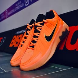 Nike LeBron Witness IX