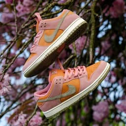 Nike SB Dunk Low
