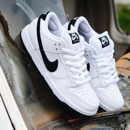 Nike SB Dunk Low Pro