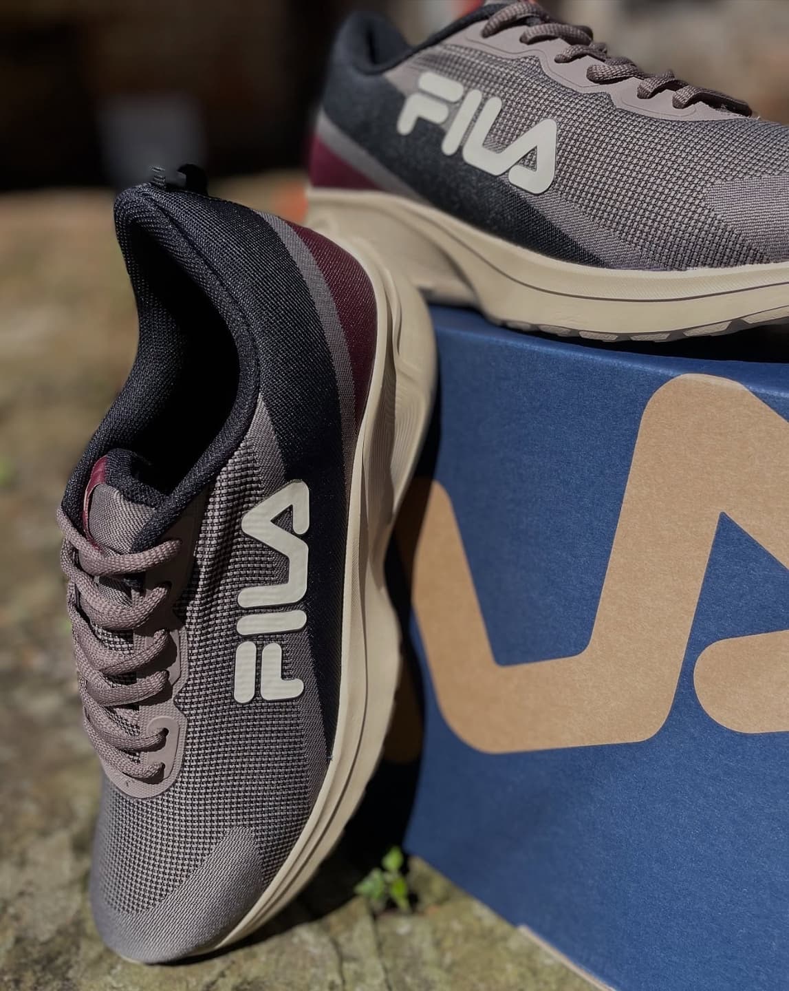 Fila Tênis Vector